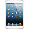 Apple iPad mini 16Gb Wi-Fi + Cellular черный - Александров